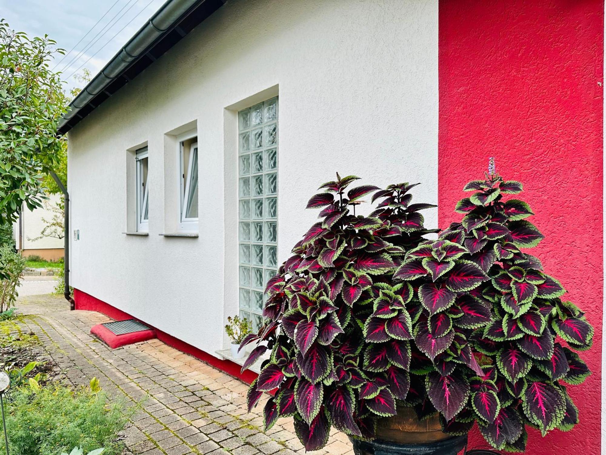 ☆Gemuetliche 1-Zimmerwohnung Mit Terrasse☆ Rielingshausen Esterno foto